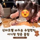 호텔3월 | 신라호텔 파크뷰 주말 런치 후기: 2026년 3월 인상 가격 &amp; 아기랑 방문 꿀팁 (33개월&amp;8개월 무료)