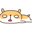 광교서점 이미지