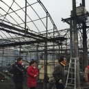 김영선농장 이미지