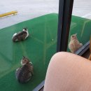 투썸플레이스 홍성소향점 이미지