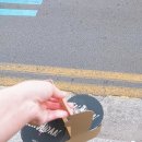 예소 이미지