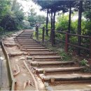 동작충효길 7코스 까치산길 이미지