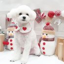 재영 동물병원 이미지