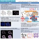 [응용:부동산부문] 건축자동설계시스템 비교_빌드잇 이미지