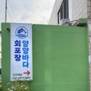 한쿰 | [양양여행 / 양양횟집 | 양양회포장맛집]