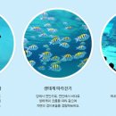 롯데월드아쿠아리움 이미지