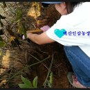 백산농장 네이버블로그