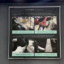 세차마을 | 일산 스팀세차 손세차 추천, 치카치카플러스에서 니로 다시 태어난 후기