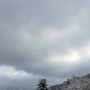 서리산농장 이미지