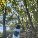 소래산공영주차장 | [등린이의 등산일기 1] 소래산 등산후기