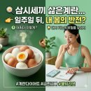 원푸드시스템 - 안양시 동안구 | 삶은계란만 먹으면 생기는 변화: 계란 원푸드 다이어트 효과 및 부작용, 단기 감량 식단 총정리