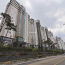 금성공인중개사사무소 이미지