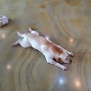 포포앤미루 강동점 이미지