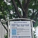성남 수진분식 | 수진역 치즈맛 떡볶이 맛집 또간집 내돈내산 후기