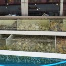 조개일번지 이미지