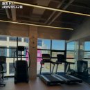 엘핏