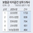 보험사 보험금 지급 거부 올 상반기만 8만건 훌쩍... 이미지