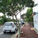 다이소표선점 이미지