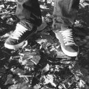 데이라이트 이미지