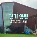 군립미술관 | 양평 아이와 가볼만한곳 양평군립미술관 주차 전시 솔직 후기 (아기랑 가도 될까?)