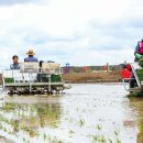 원화농장 이미지