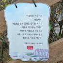 꽃마리유치원 | ② 앗, 소요산 단풍- ( 2023.11.01 )