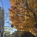 세움어린이집 | 2025 11월 둘째주 모음집