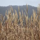 [4편] 2025년12월13일 토요일 서해랑길 30코스를 다녀와서! 이미지