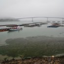 조도대교 이미지