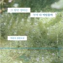 삼양로54길 이미지