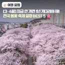 진해구 ⓒ-3 | 2026 봄꽃 축제 일정 총정리! 진해 군항제부터 여수 영취산까지 BEST 5