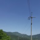 카페다운