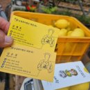 죽산농장 이미지