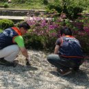 평창영월정선축협 임계지점 이미지