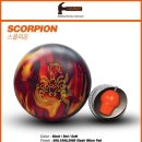 스콜피온 이미지