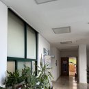 태전포도나무산부인과의원 | 산전검사 (보건소-피검사, 소변검사, X-ray / 산부인과 - 초음파, Amh 수치=난소 나이 측정)