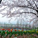 연지공원2 이미지