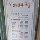 살롱알제
