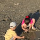 소래습지생태공원(전시관) 이미지