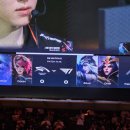 경주실내체육관 | T1과 함께한 2024 LCK 서머 시즌 마무리_LCK SUMMER 결승진출전 T1 vs HLE 경주 실내체육관 직관 후기