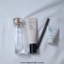 3월 1,2째주 공병 리뷰 (헤라 로즈 피규어 향수, 인셀덤 데일리 아쿠아 비비, 웨이크메이크 리얼 애쉬...