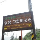 수성그린비 이미지