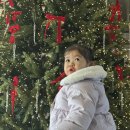 해도지횟집오복미가 | 삼척 쏠비치 근처 현지인 맛집 추천 삼척중앙시장