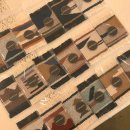 (주)아일랜드스토리 이미지