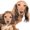 세명약국 이미지