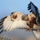 조아가든 이미지