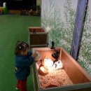 고성초등학교 이미지