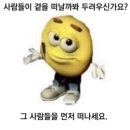 아미피아 | 서하트의 얼렁뚱땅✨