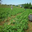 두레전자 이미지