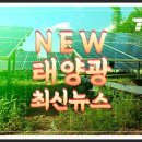 한국미래에너지 프로당구 이미래 선수 후원협약 에너지기사 이미지